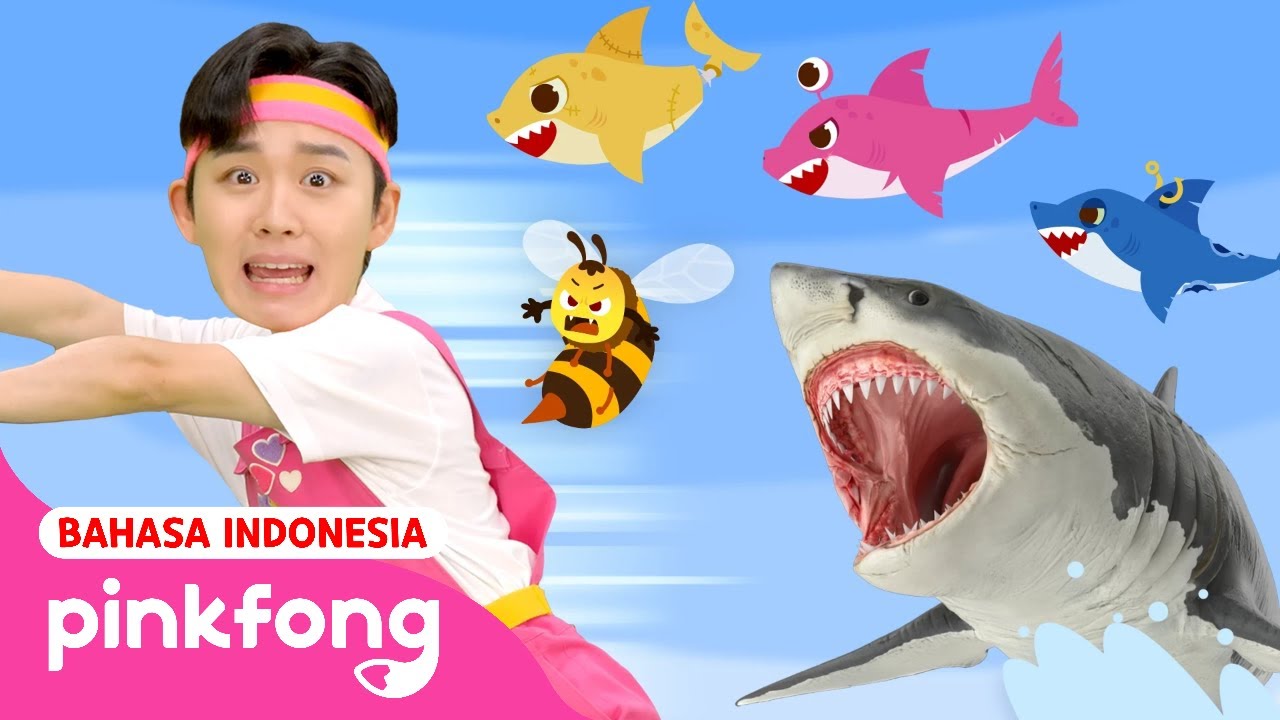 Lari! Ada Hiu! | Kumpulan Series Main Bareng Hoi | Kartun Anak | Pinkfong Indonesia