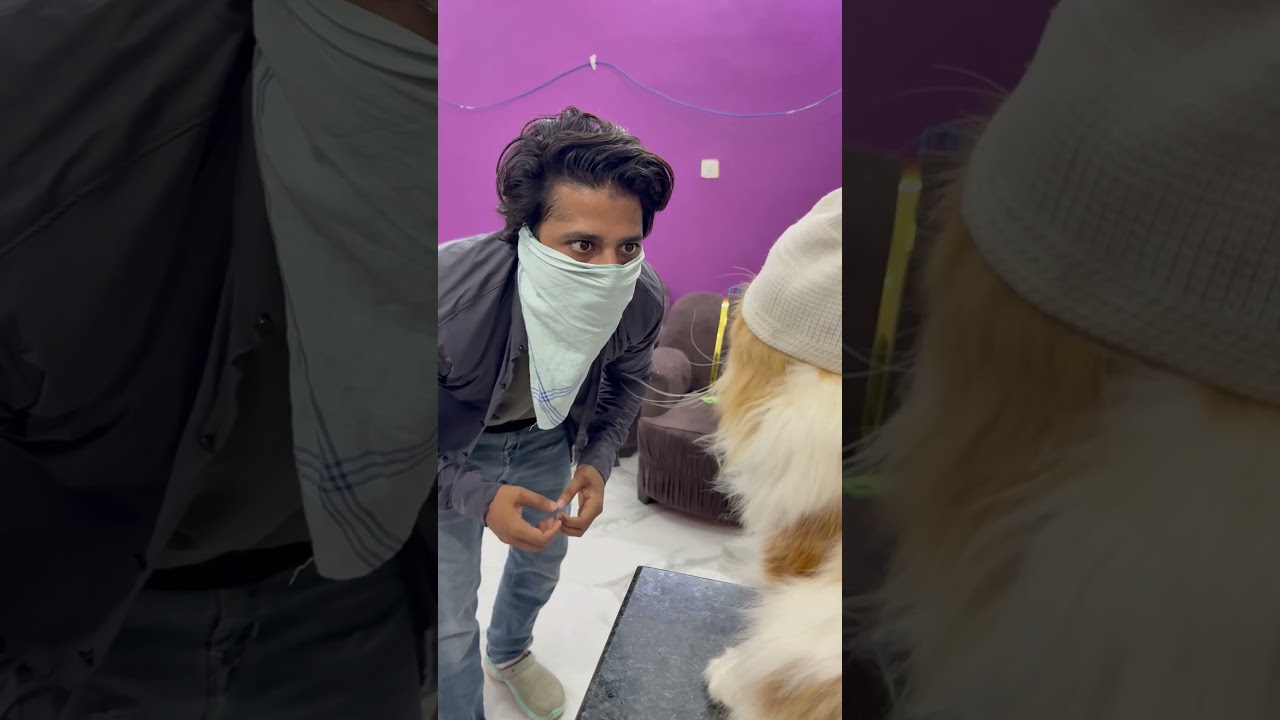 Billu/chor🫨🫨🫨 #catvideo #comedy #billucat #cat #sajidcat #petlover #catshorts #pets #catcomedy