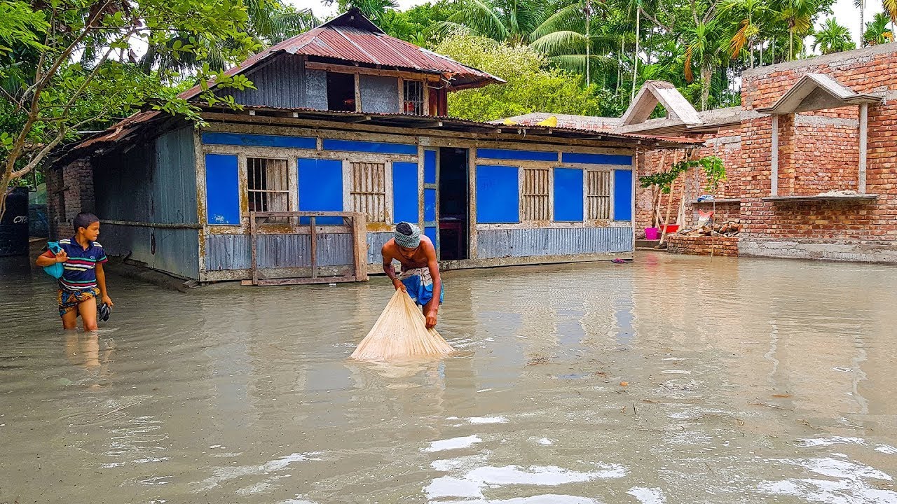 বন্যায় বাড়ির উঠানে অবিশ্বাস্য বড় মাছ ধরা দেখুন | Amazing Fishing on The Flooding Water