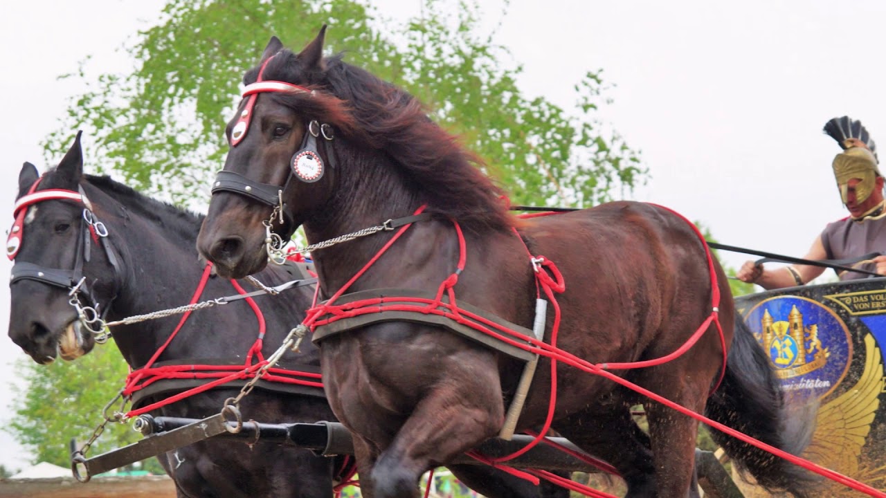 Kemnitz Fuhrmannstag 2012 (Bernstadtbilder)