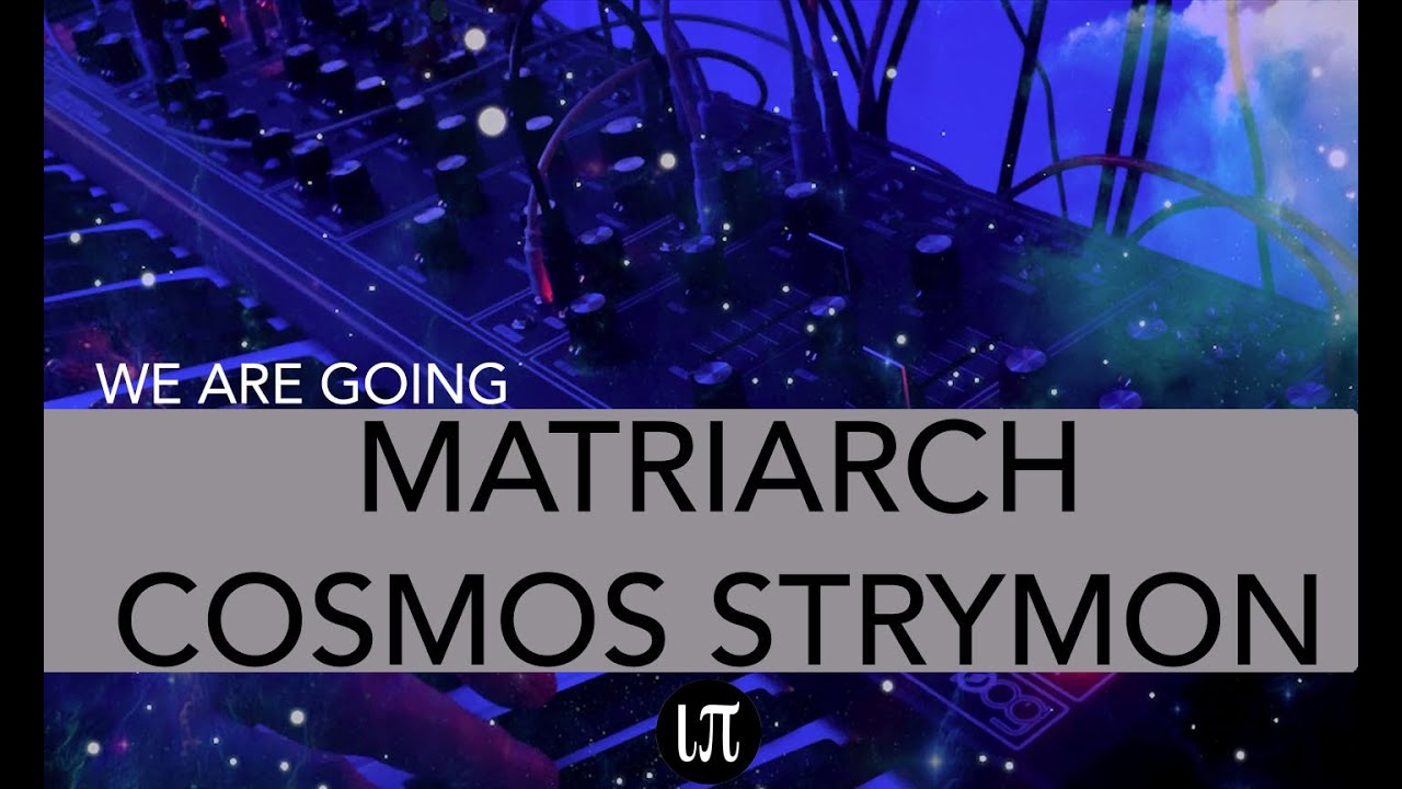 Ambient Moog Cosmos Strymon | We Are Going