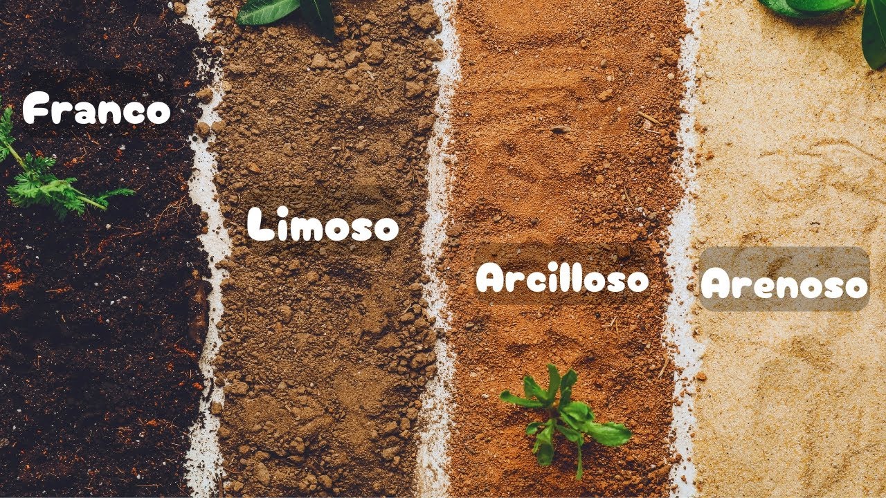 |Tipos de suelo| Características y usos🌱2076