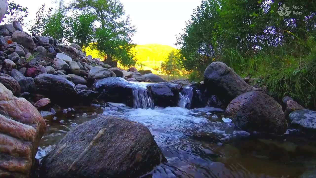 Успокаивающий шум журчащего ручья. Звуки бегущей воды. 10 часов