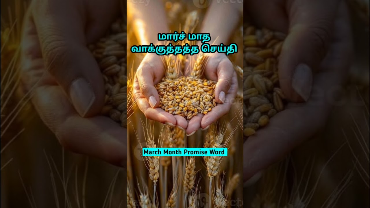 March Month Promise Message | March Month Promise shorts | Today's Promise Word | 01/03/2026#morning