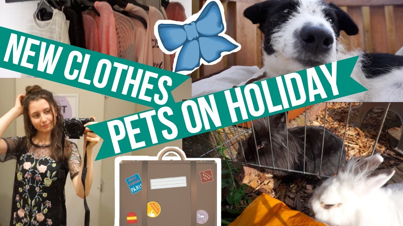 Taking My Pets On Holiday & Clothing Try On