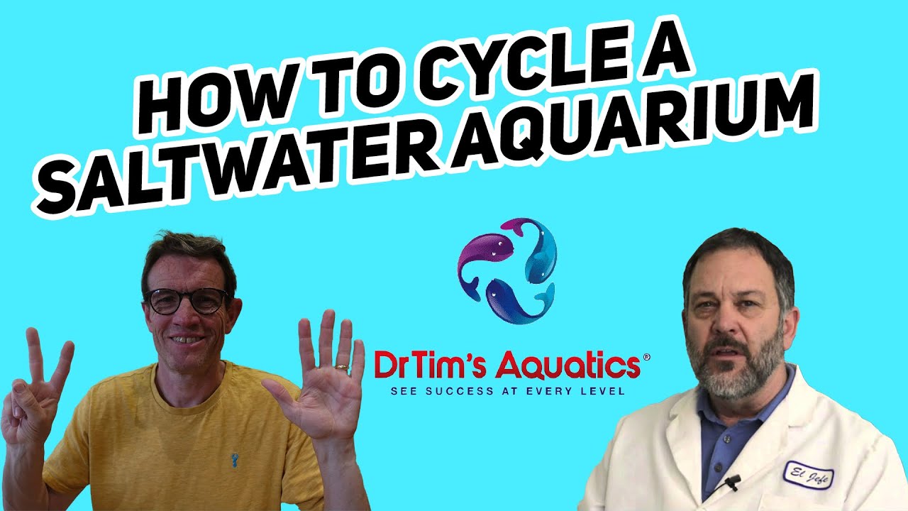 Dr. Tim's reveals HIS 7 steps to cycle a saltwater tank