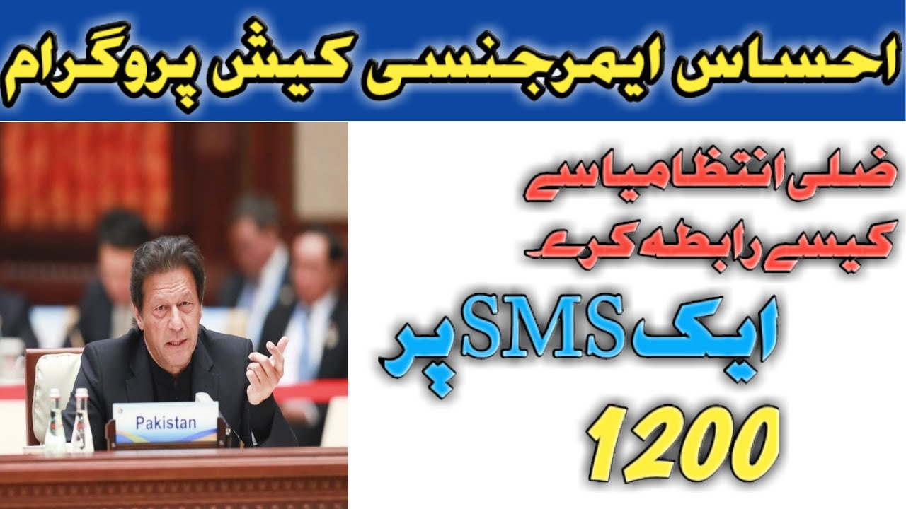 Sms service 8171 || zillai intizamia sa kasa rabta kara || ihsas emergency cash program 2020