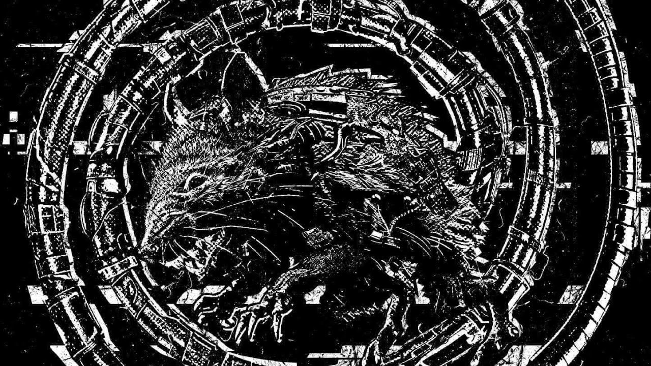POLTEK 2024 (Houbatik + Sdwa5 + Sirius1 + Scheiterhaufen + Never not Dance Stage)