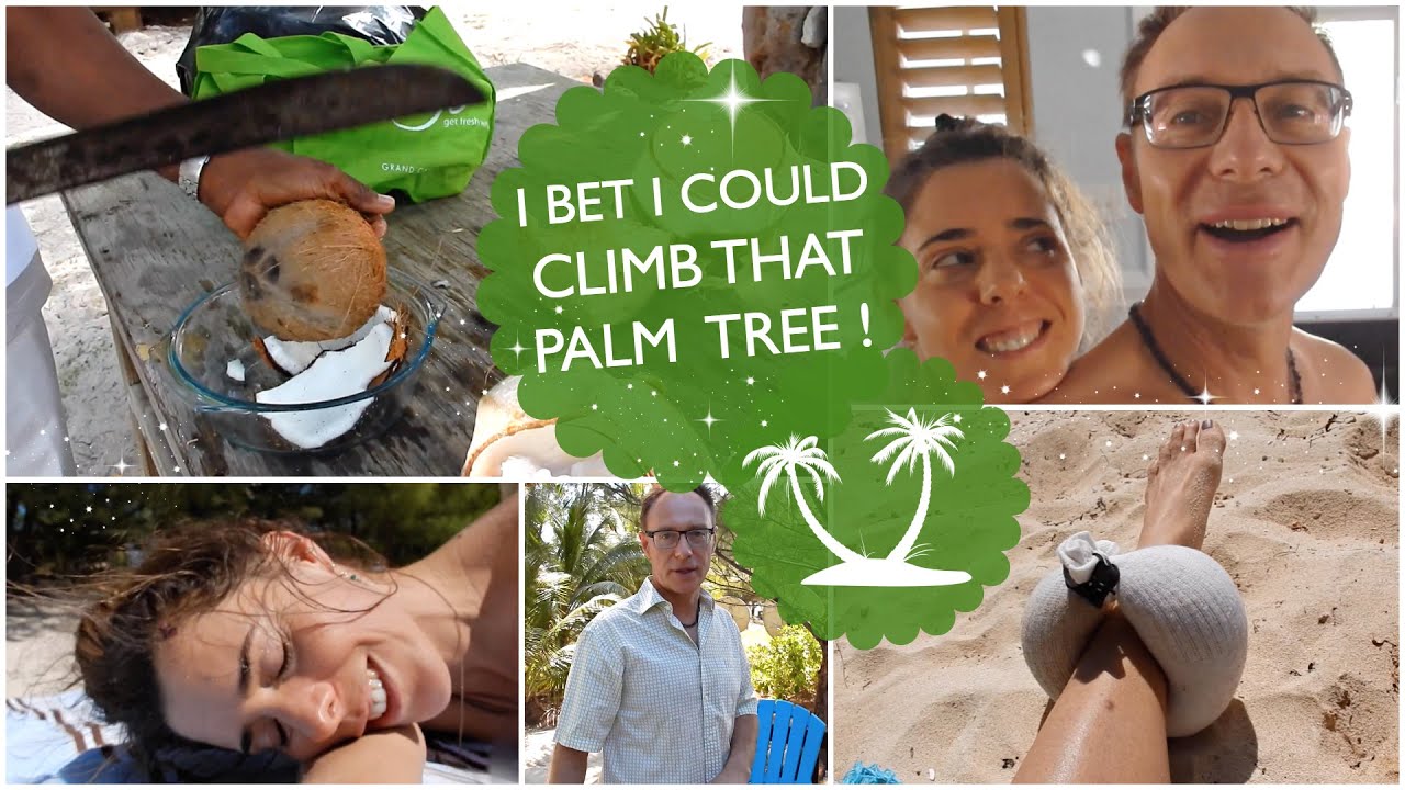 I BET I COULD CLIMB THAT PALM TREE !