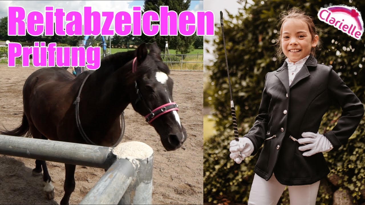 Reitabzeichen mit Clarielle | Reitabzeichen Prüfung 8 | Reiten lernen