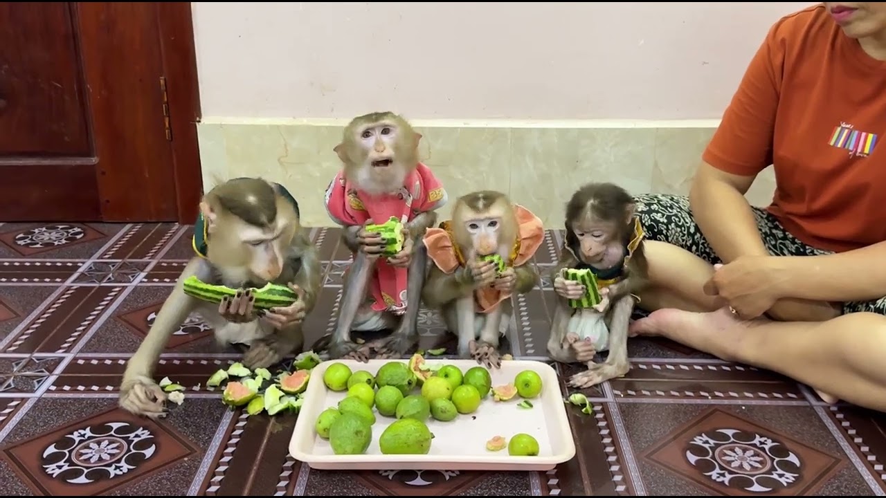 WOWWWW !! So Surprise Ever Sovanny Reaction To Mom Best Fresh Fruit Amazinggg!!