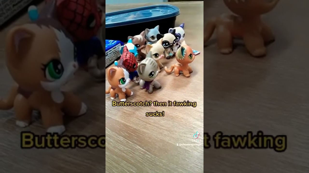 What if @FranDaMan1 @CRUE @Tedzaster69 and others becomes lps shorthair cats