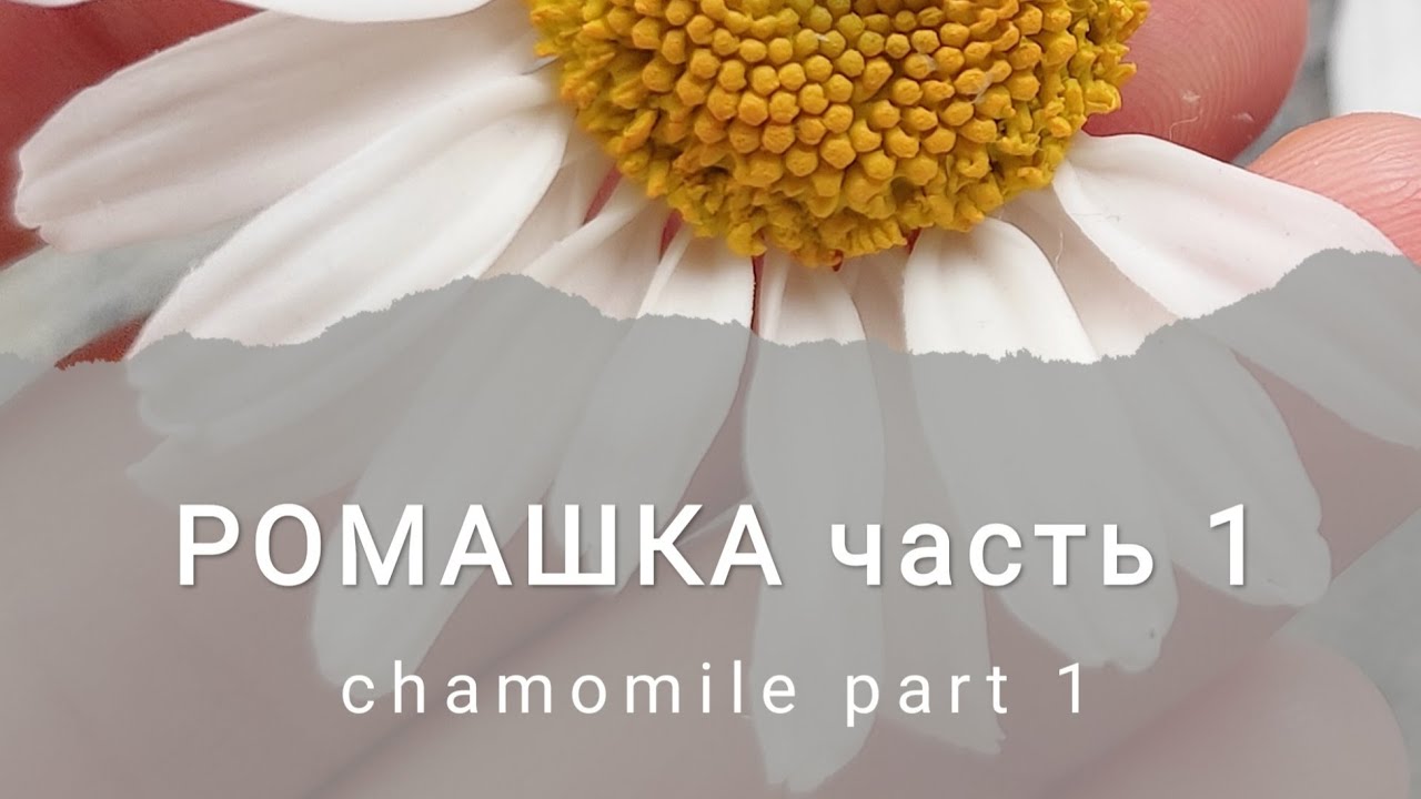 МК РОМАШКА. Часть 1. Video course - CHAMOMILE. Part 1.
