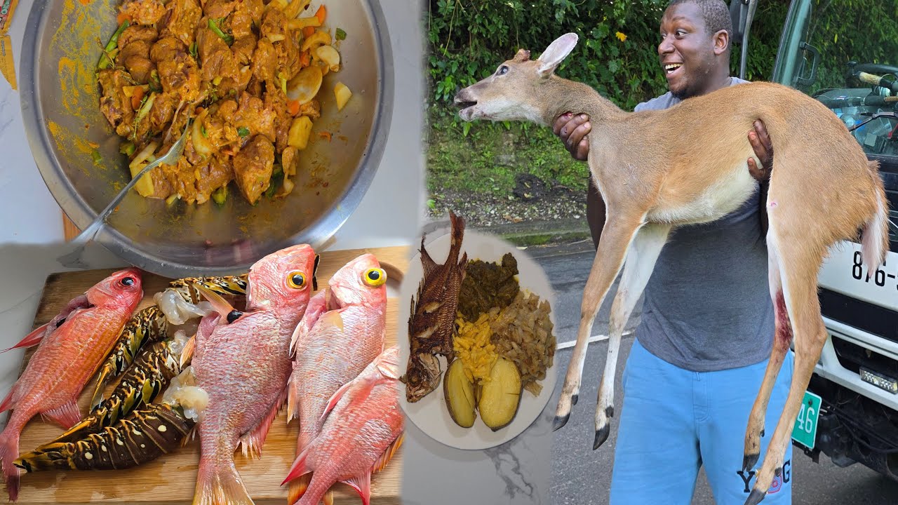 От дикой природы до ямайского обеденного стола – эпический улов оленя! 🦌🍽️
