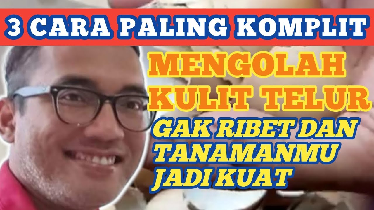 Manfaat Komplet Kulit Telur untuk Tanaman, Sumber Kalsium untuk Tanaman Sehat dan Buah Lebat