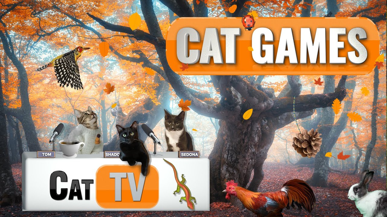 КОШАЧЬИ ИГРЫ | 🍁 Осеннее приключение &ndash; лучшая подборка кошачьих телепередач | 8 ЧАСОВ 🍂🐜🦋🦎🐞🧵🐦