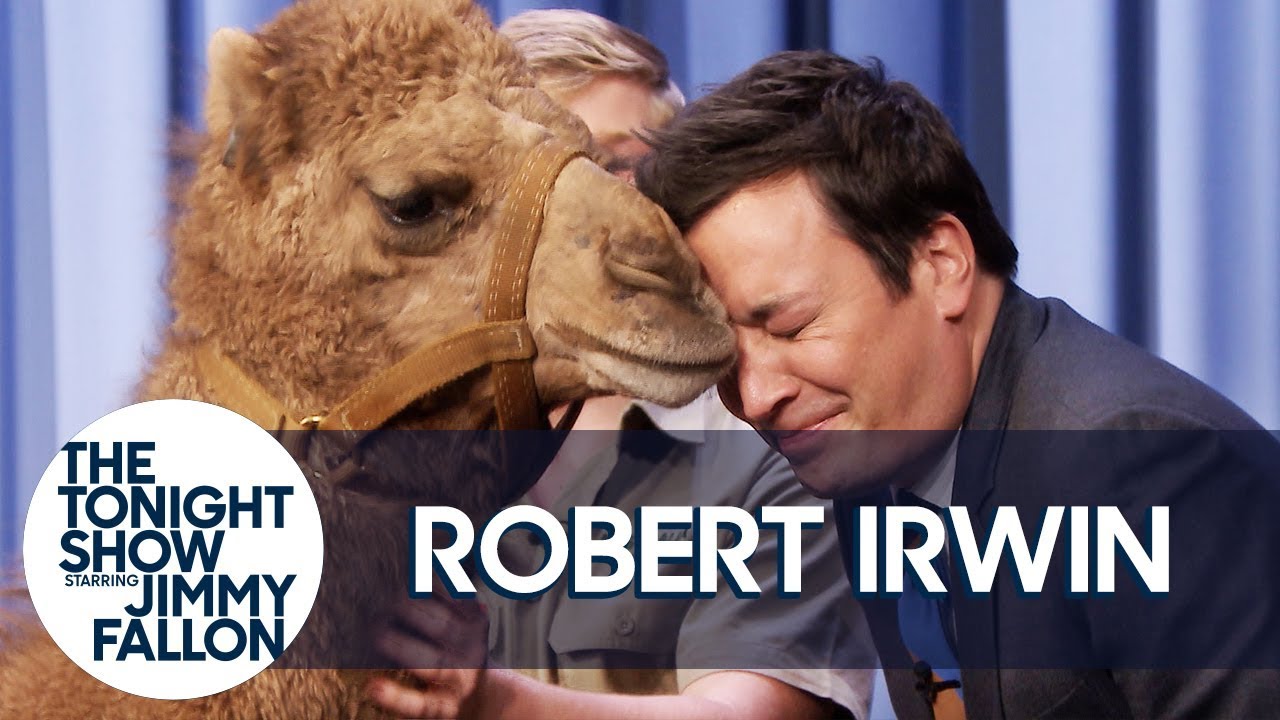 Robert Irwin's Baby Camel Kisses Jimmy on the Lips