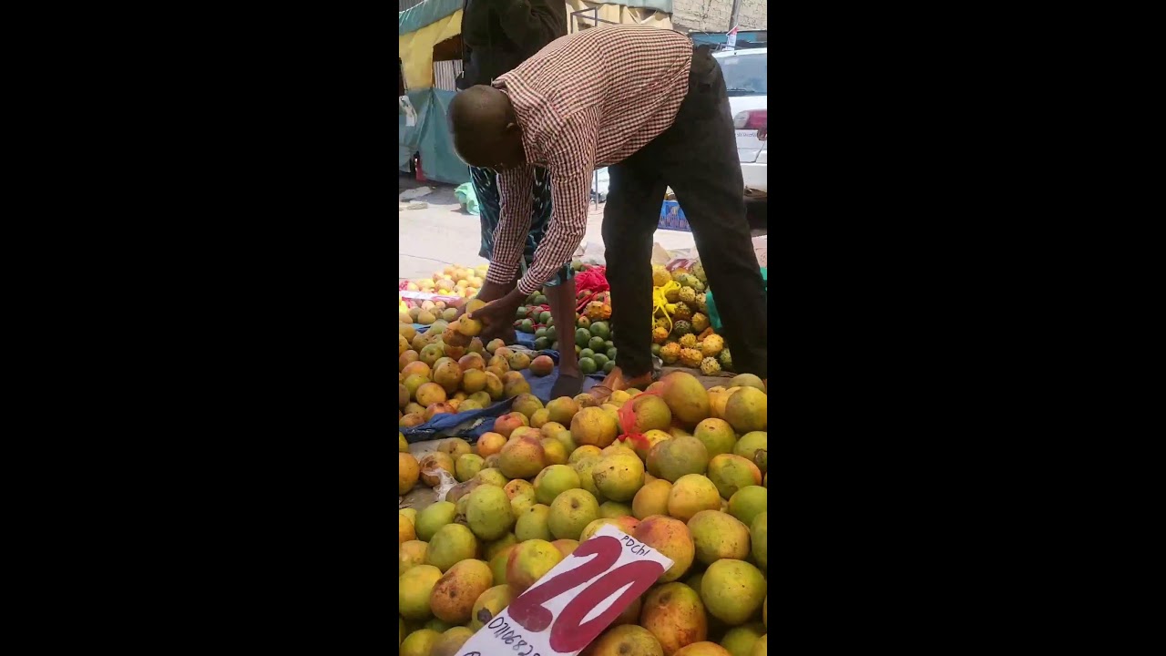 MANGO SEASON