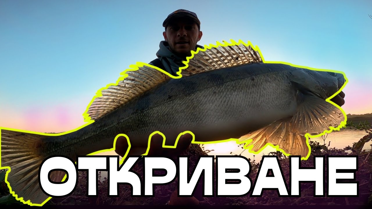 ШАРКОВСКИ ТРОФЕЙ!! МАЛКО ШАРКОВО!!
