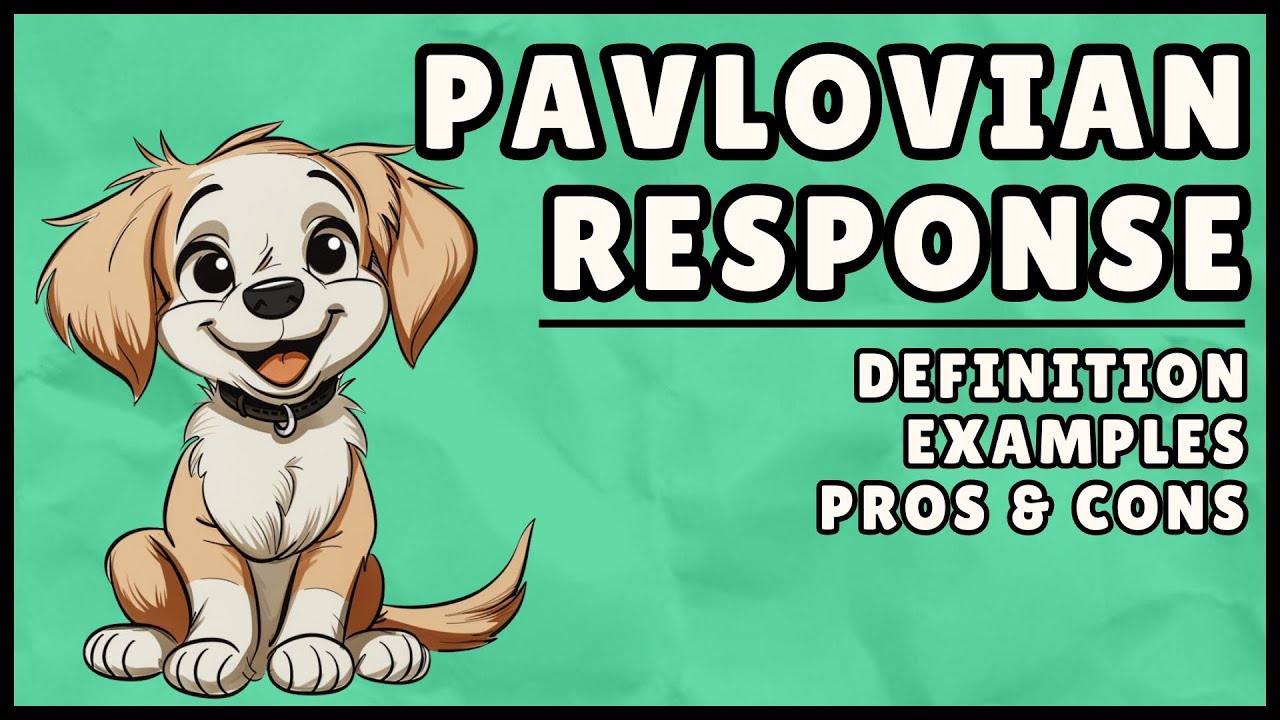 What is a Pavlovian Response? (Easy 4 Minute Explanation)