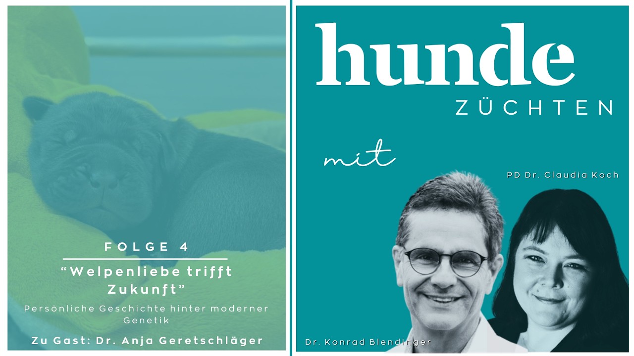 Podcast Hunde züchten - Folge 4 - Welpenliebe trifft Zukunft (mit Bild)