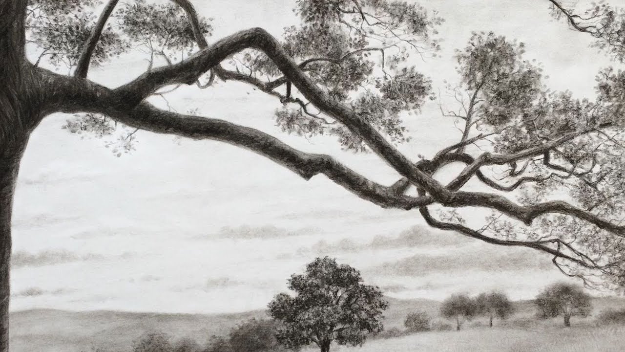 How to Draw Tree Branches - Narrated Tutorial
