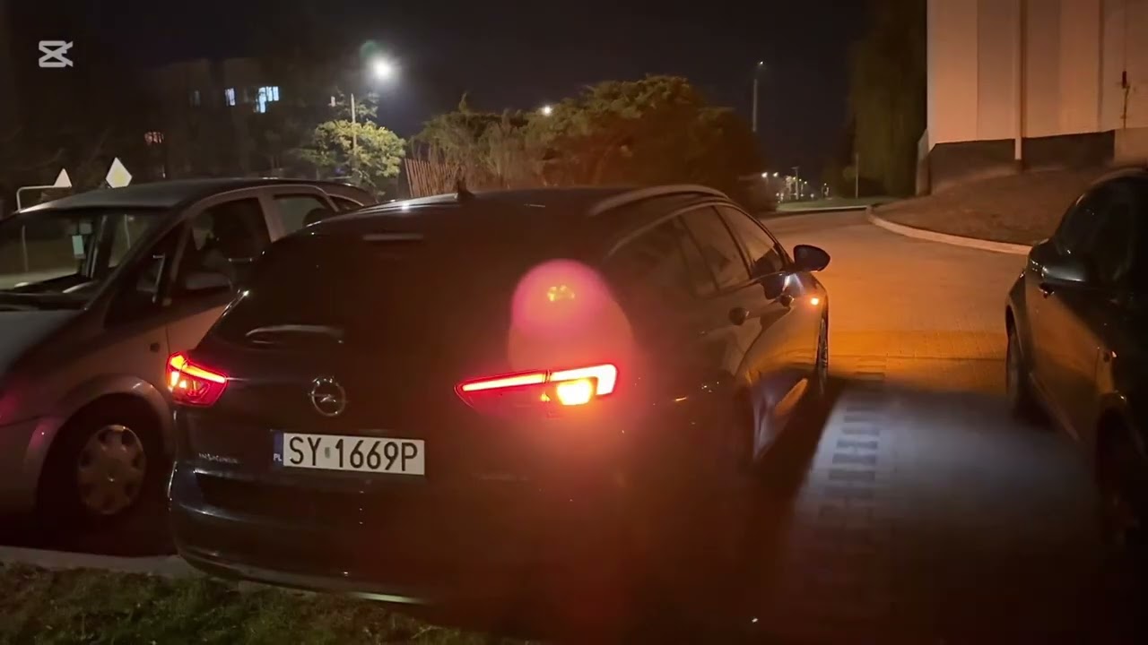 Opel Insignia intellilux LED matrix 