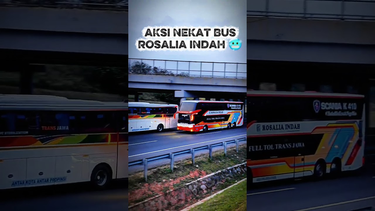 The Rosalia Indah bus was reckless in overtaking the Sinar Jaya bus. #shorts #bus