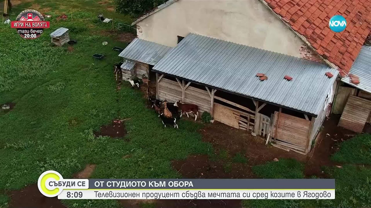 От студиото към обора: Телевизионен продуцент сбъдва мечтата си сред козите в Ягодово