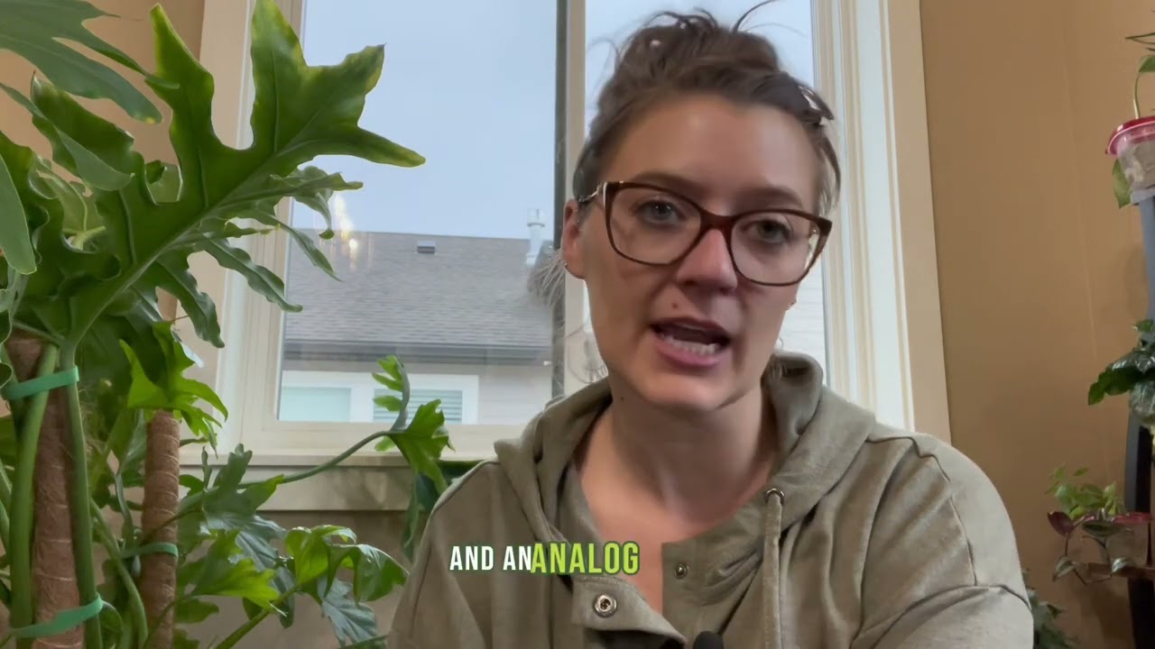 Lovely Lettuce Grow Hydroponic System