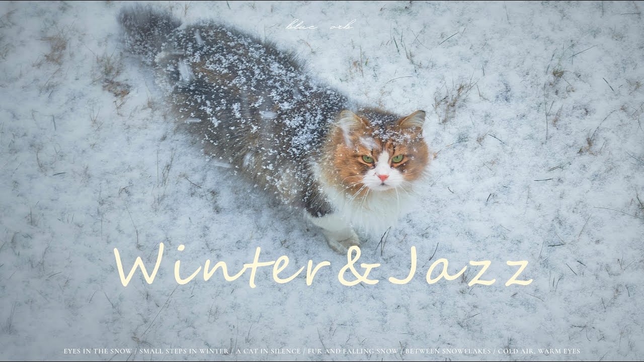𝗤𝘂𝗶𝗲𝘁 𝗣𝗶𝗮𝗻𝗼 | 静かな冬時間のためのジャズBGM | Winter & Jazz
