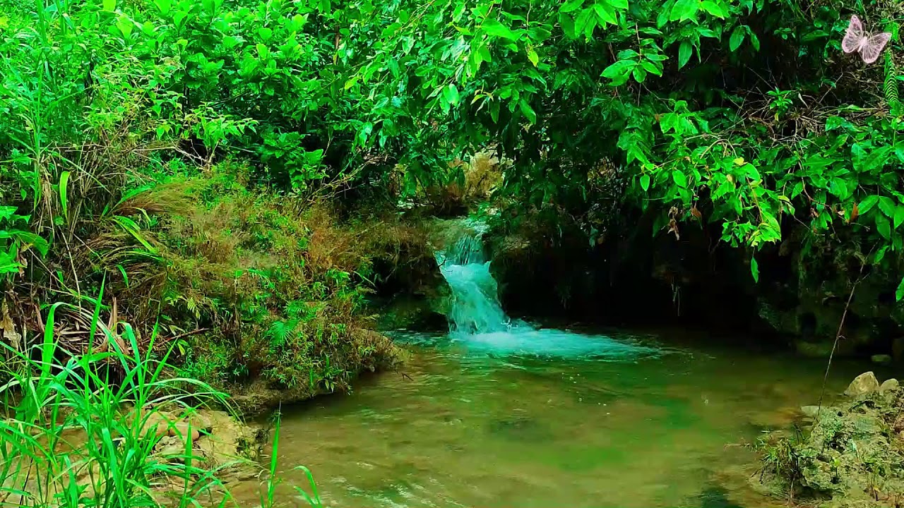 Calming Music for Anxiety and Stress 🌿 Sleep Better, Heal Mind, Relaxing Meditation Sounds 2