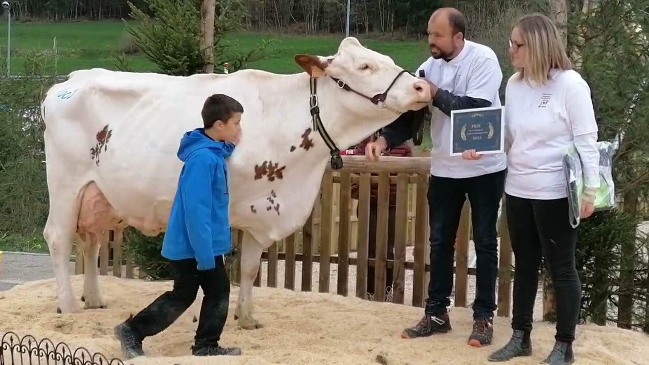 Influence, prix de la rentabilité  au comice du Grandv'Haut-Jura (1er mai 2023 à La Chaumusse)