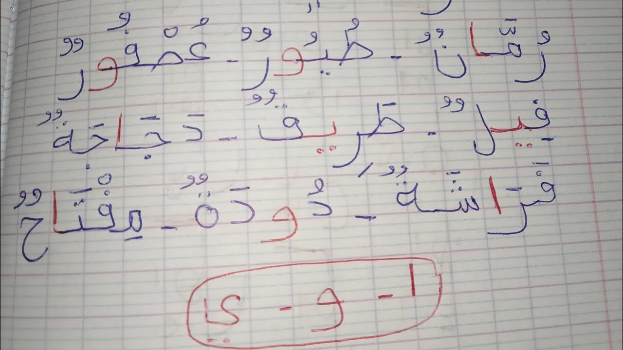 المدود في الكلمات #الحركات الطويلة # تعلم #للمبتدئين #طلاب محو الأمية ✍️✍️