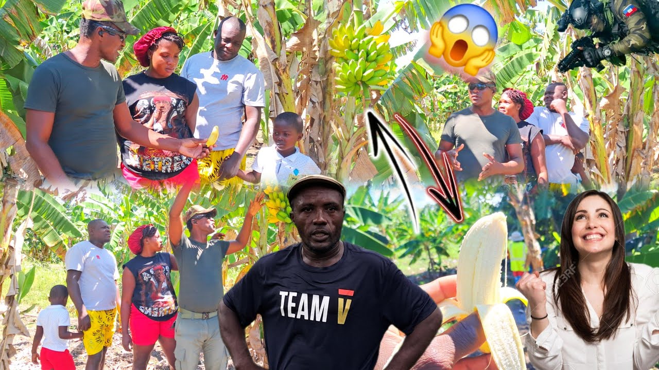 🆘️HEYY BESAP|| ANPIL FIG SEPARE NAN JADEN CAD JODIA😱✌️ WOUCH! JADEN AP BAY PEP LA MANJE ✌️😱