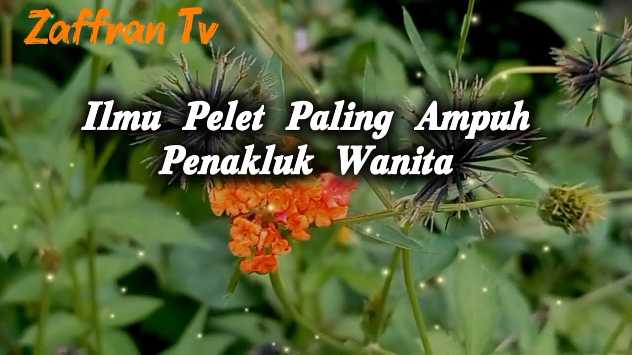 PELET UCAP 1 KATA PALING BERBAHAYA💥 BACA DALAM HATI, SIAPAPUN ORANGNYA,DIA LANGSUNG TUNDUK PATUH 