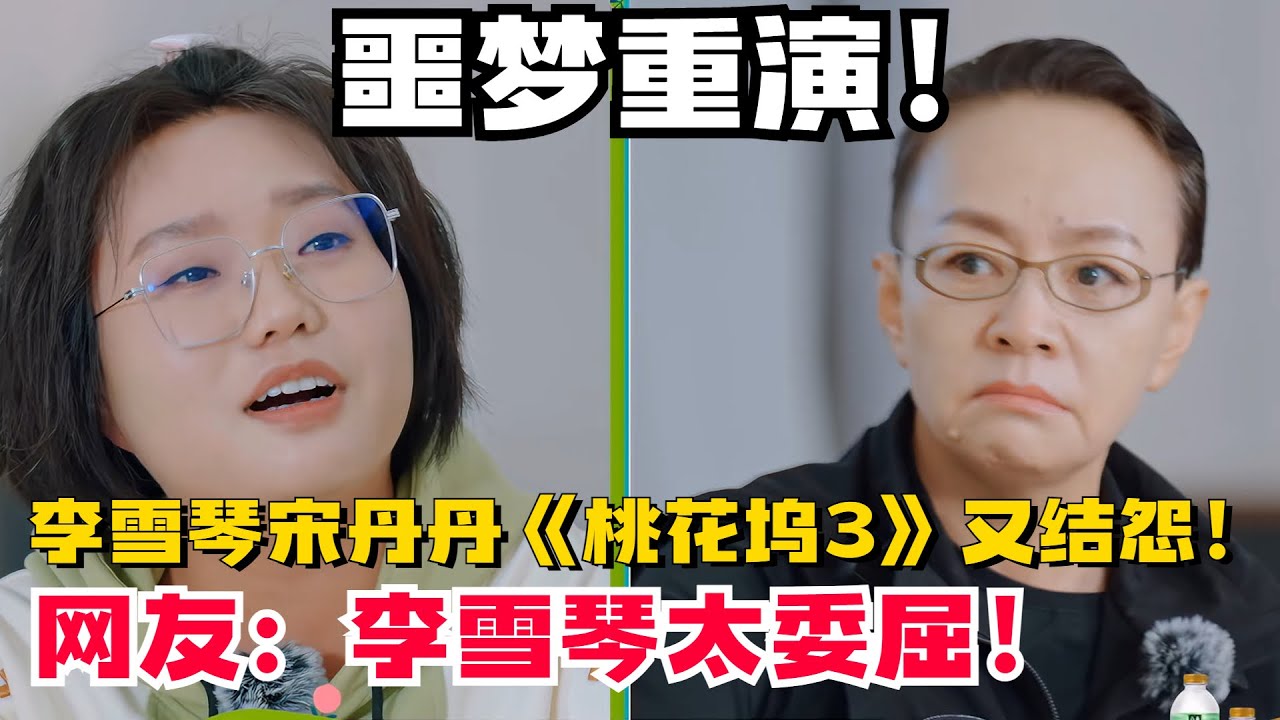 宋丹丹李雪琴《桃花坞3》重逢又要干起来了！这熟悉的窒息感太要命了！【五十公里桃花坞3】#搞笑 #综艺