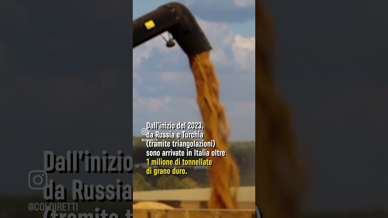 Dopo la denuncia di Coldiretti, l&rsquo;Ue impone dazi sulle importazioni di grano russo.