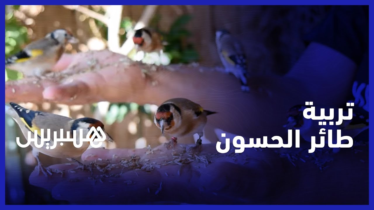 رشيد أولعيد.. شاب نجح في  تربية 