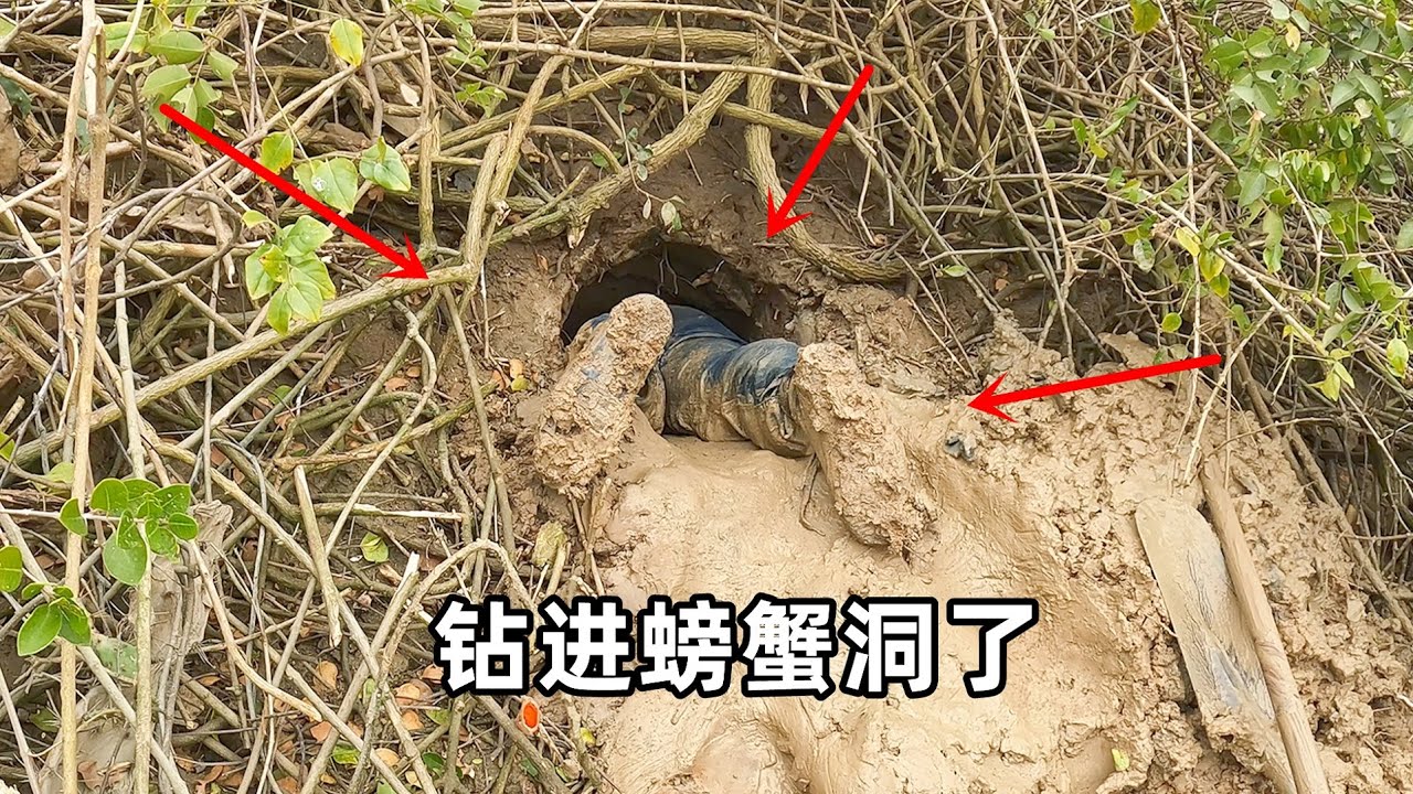 渔夫一个月没赶海，一出手就盘大货，直接钻进蟹洞里抓大蟹王
