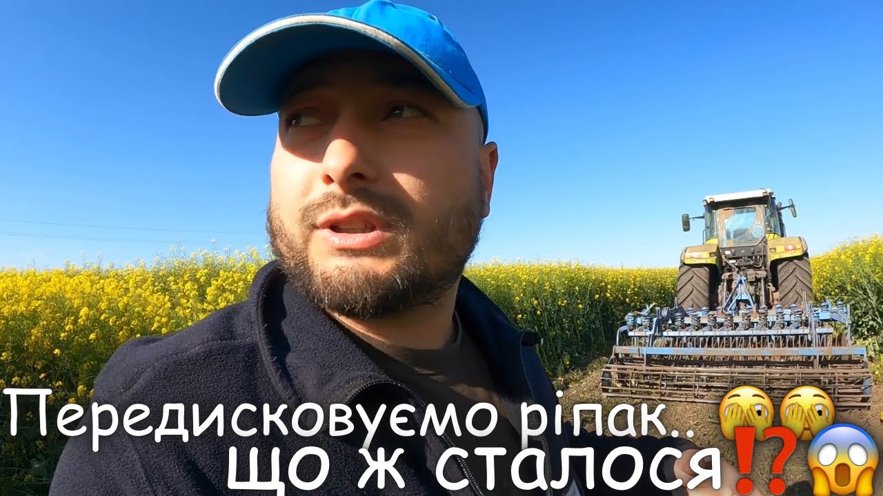 Передисковуєм ріпак‼️ дискова Lemken Rubin ложе в один слід💪