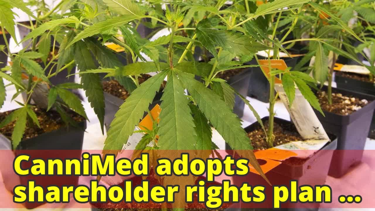 CanniMed adopts shareholder rights plan in hostile takeover bid by Aurora Cannabis