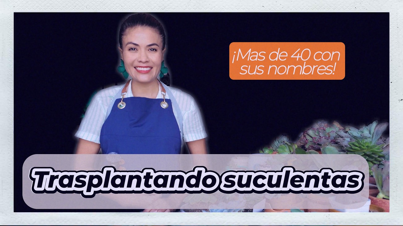 TRASPLANTE DE MAS DE 40 SUCULENTAS, UN DESAFIO!!!💥🌵😲👩‍🌾