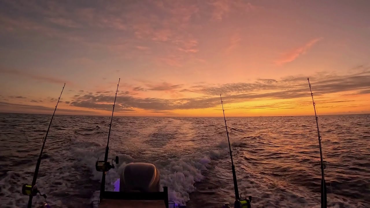 Tutukaka game fishing 2024