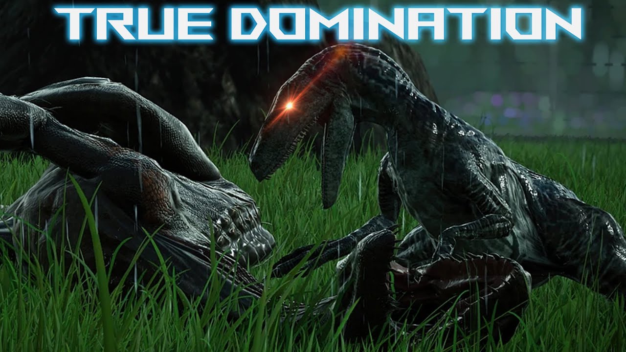This Raptor Dominated and Thrived...