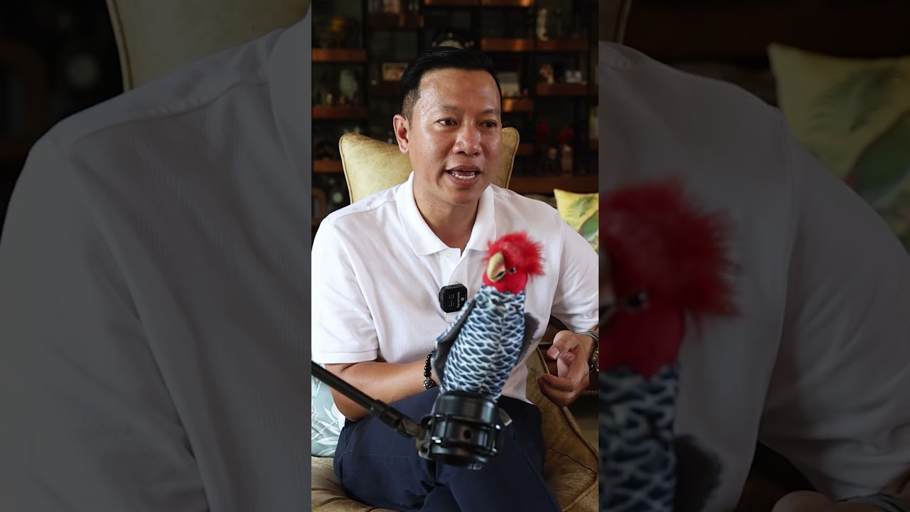 แชร์เทคนิคเร่งให้นกไข่ได้เร็วขึ้น! #ทาสนก #นกแก้ว #สัตว์เลี้ยง #meandparrots