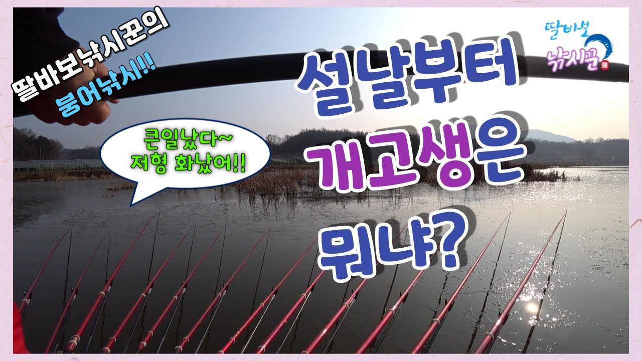 설날부터 개고생? 홍성 장신지 얼음 붕어들~