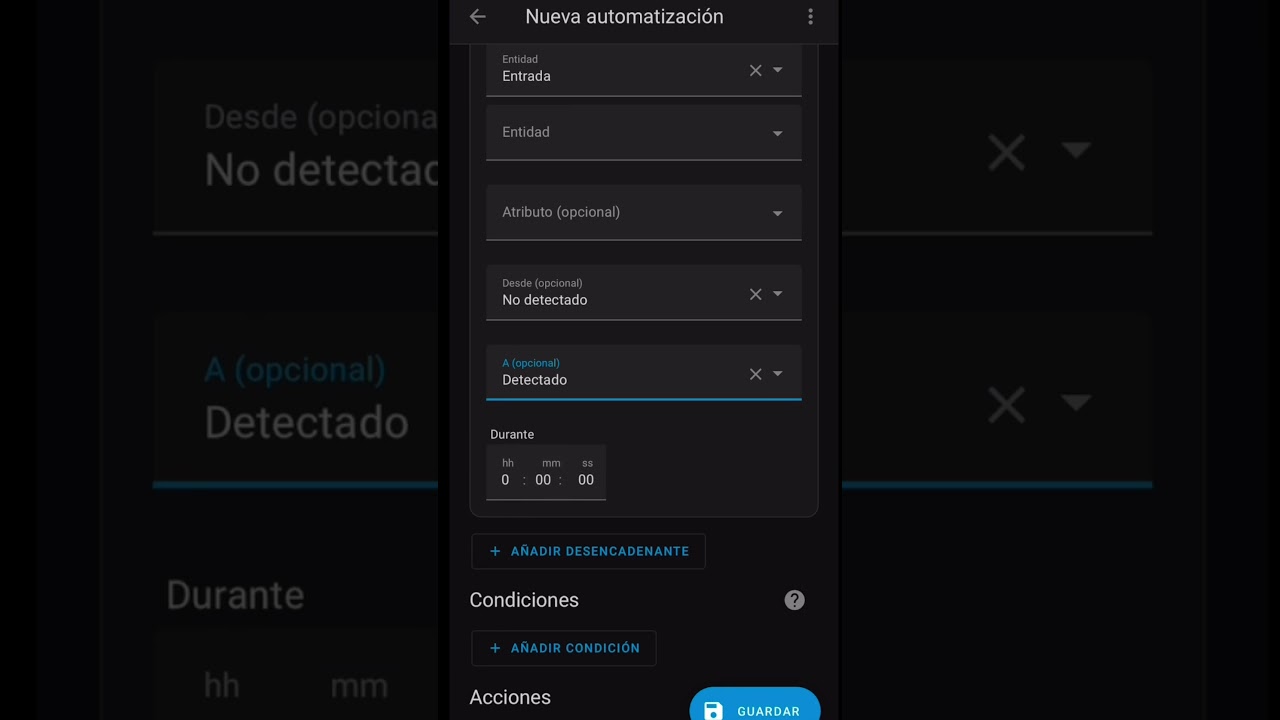 Automation Home Assistant 
