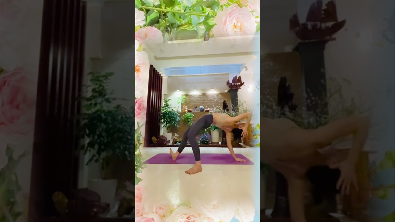 flow yoga 🎼Nụ hôn biệt ly 🎤AI cover ✍️Kate Bùi #feelingflow 