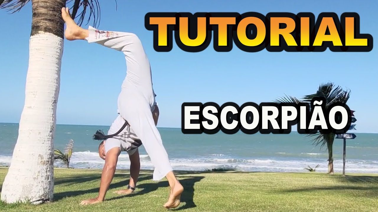 Tutorial Mestre Koioty #160 (Escorpião / escorpião na queda de rins /rabo de arria /escorpião em pé)